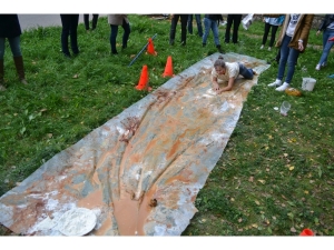 J.Pilsudska Daugavpils valsts poļu ģimnāzija