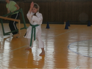 J.Pilsudska Daugavpils valsts poļu ģimnāzija